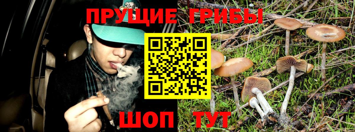 Галлюциногенные грибы Cubensis Мирный