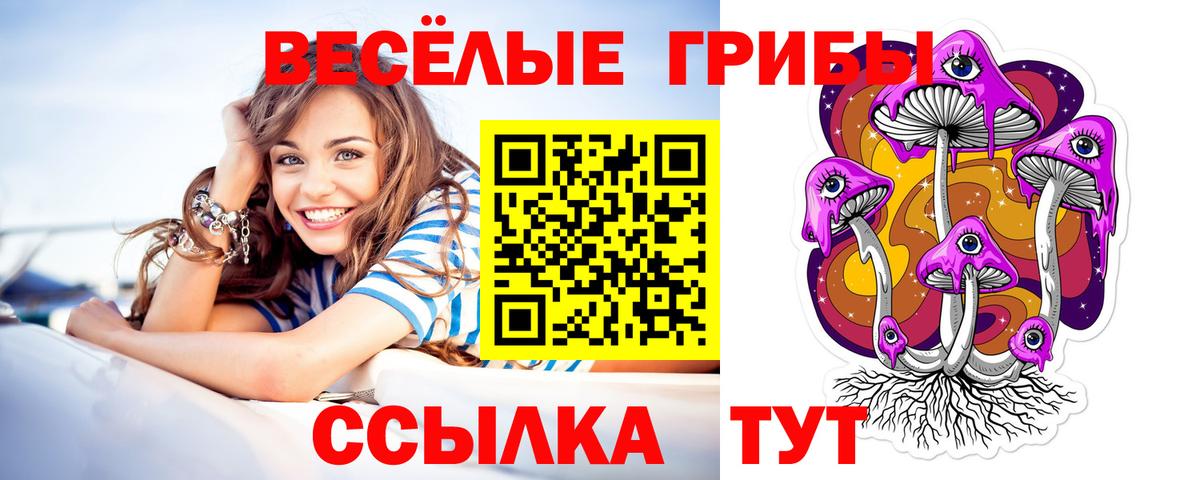 Галлюциногенные грибы Psilocybe  купить   Мирный  Вход с VPN 